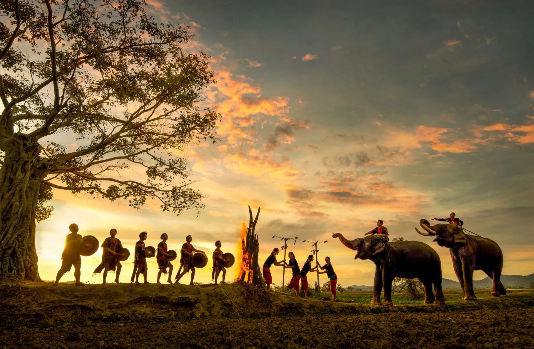 L'Écho des montagnes: L'essence de la culture des Gongs à Dak Lak
